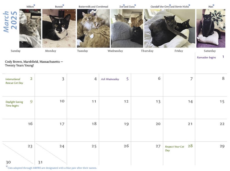 Cat Cal Snapshot