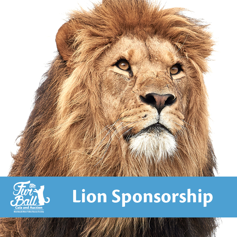 Lion - 2022 Fur Ball Sponsorship