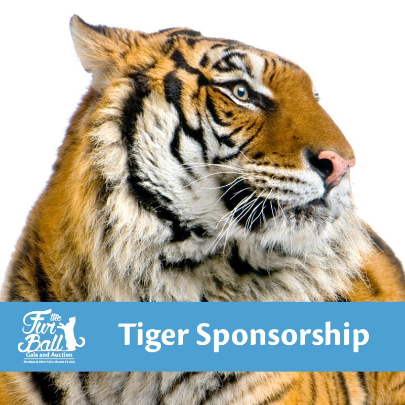 Tiger - 2022 Fur Ball Sponsorship