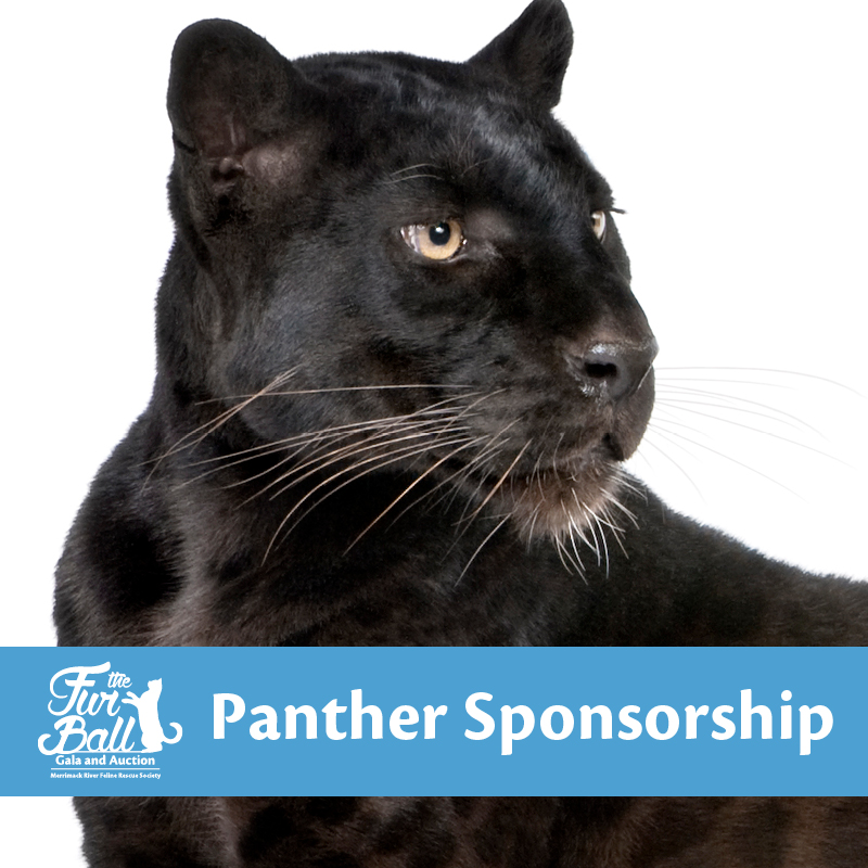Panther - 2022 Fur Ball Sponsorship