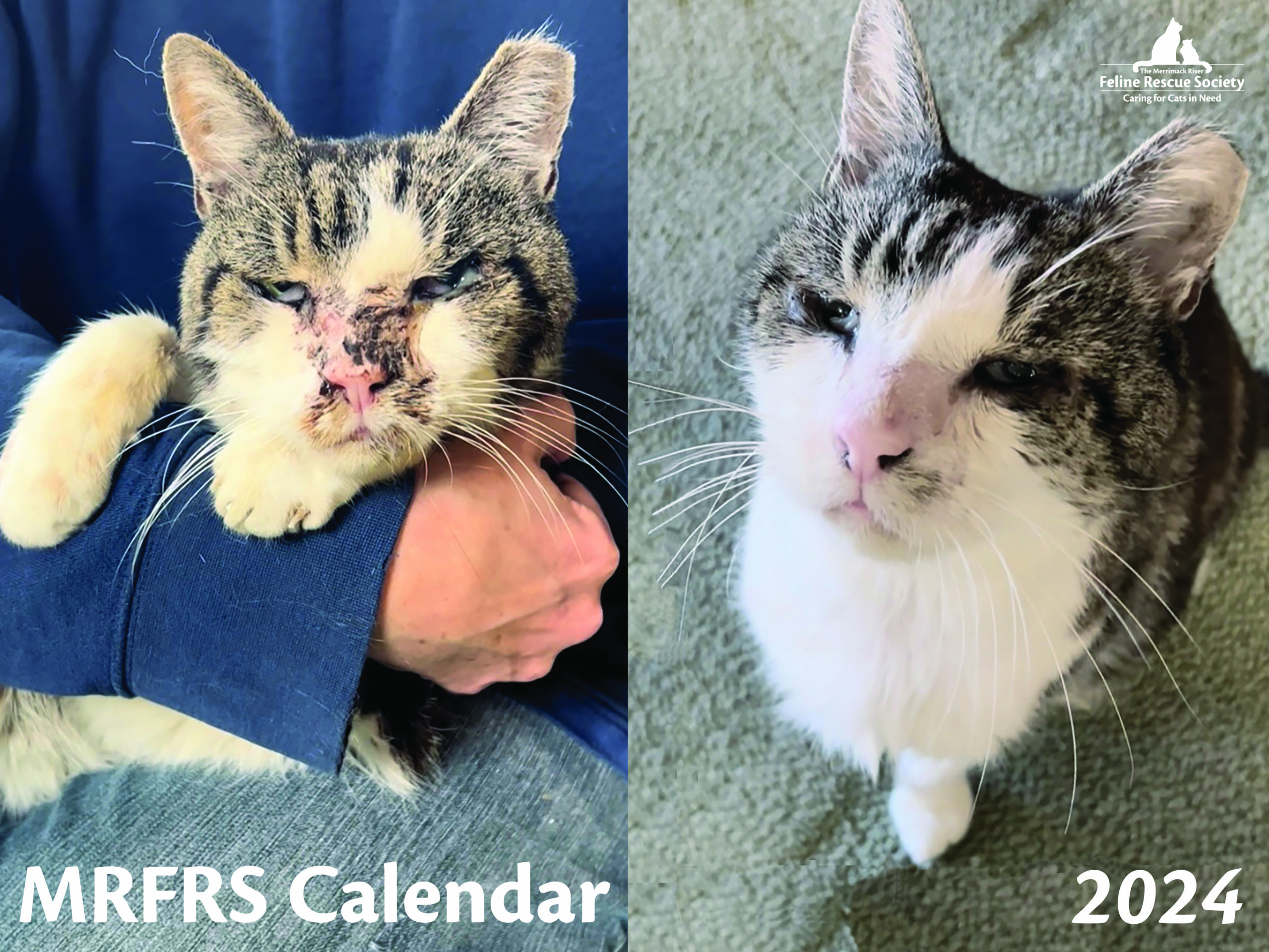 2024 MRFRS Cat Calendar - SOLD OUT!