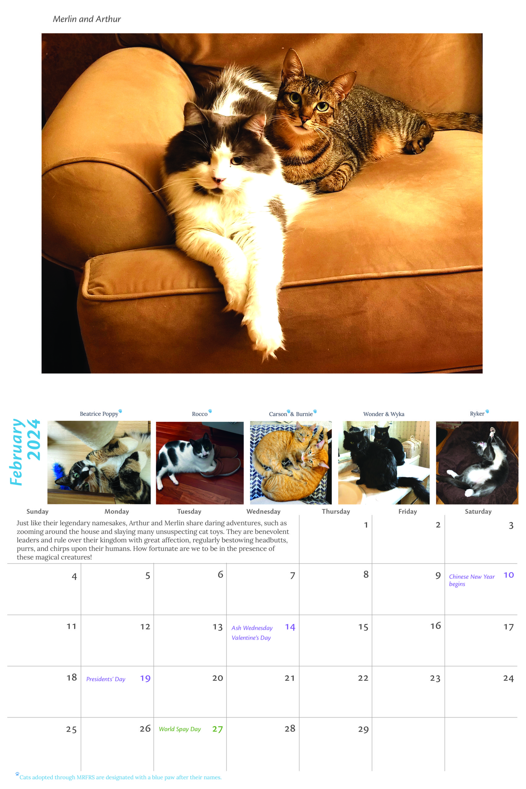 2024 MRFRS Cat Calendar - SOLD OUT! - Image 2