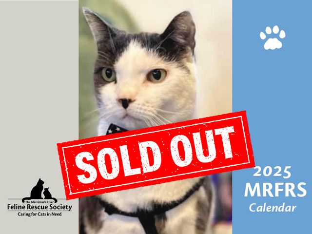 SOLD OUT - 2025 MRFRS Cat Calendar