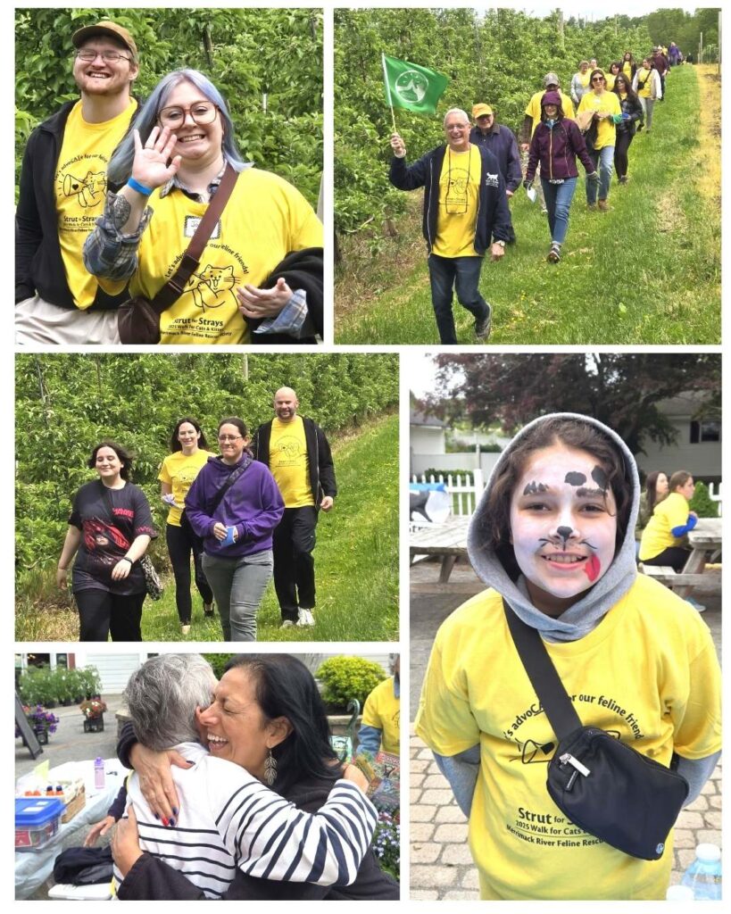 2025 Strut for Strays Photos