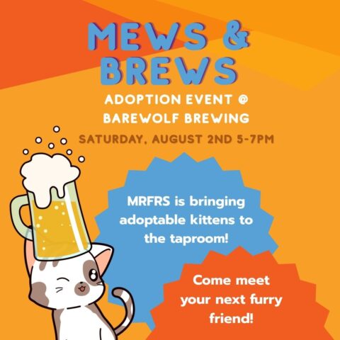 Mews and Brews Promo
