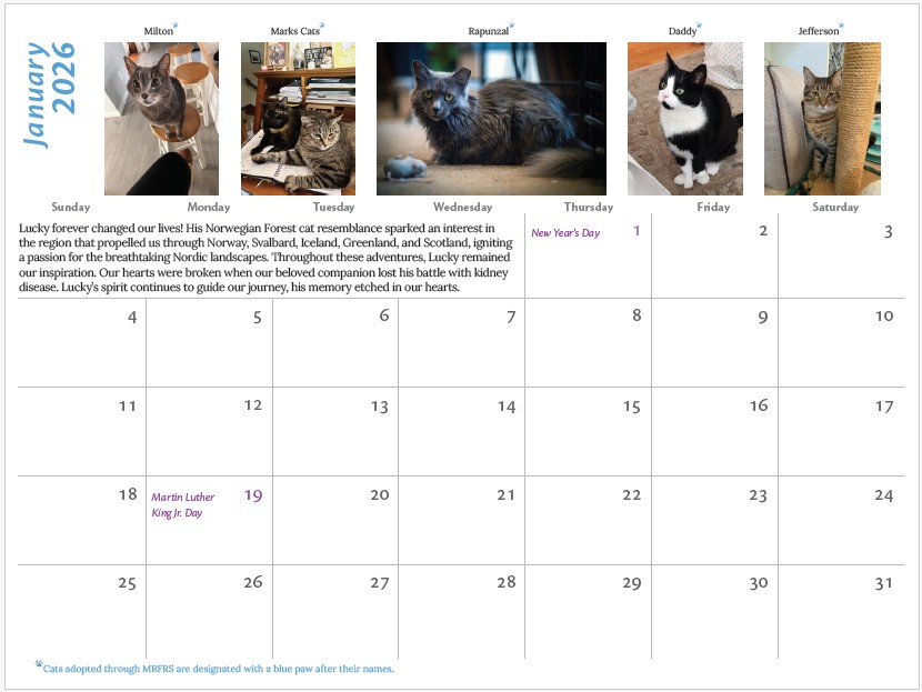 SOLD OUT - 2026 MRFRS Cat Calendar - Image 2