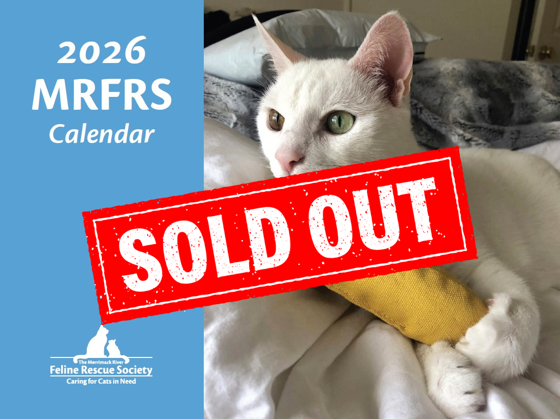 SOLD OUT - 2026 MRFRS Cat Calendar