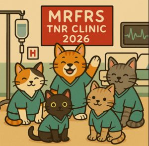 Feral Spay/Neuter Clinic (Reservations Required) @ MSPCA-Nevins Farm | Methuen | Massachusetts | United States